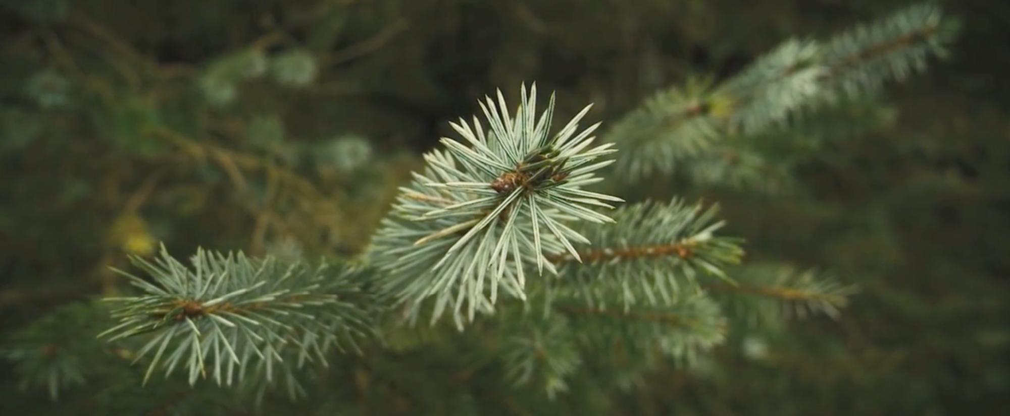 <b>讓環(huán)保扎根現(xiàn)在 用科技昭示未來</ b>